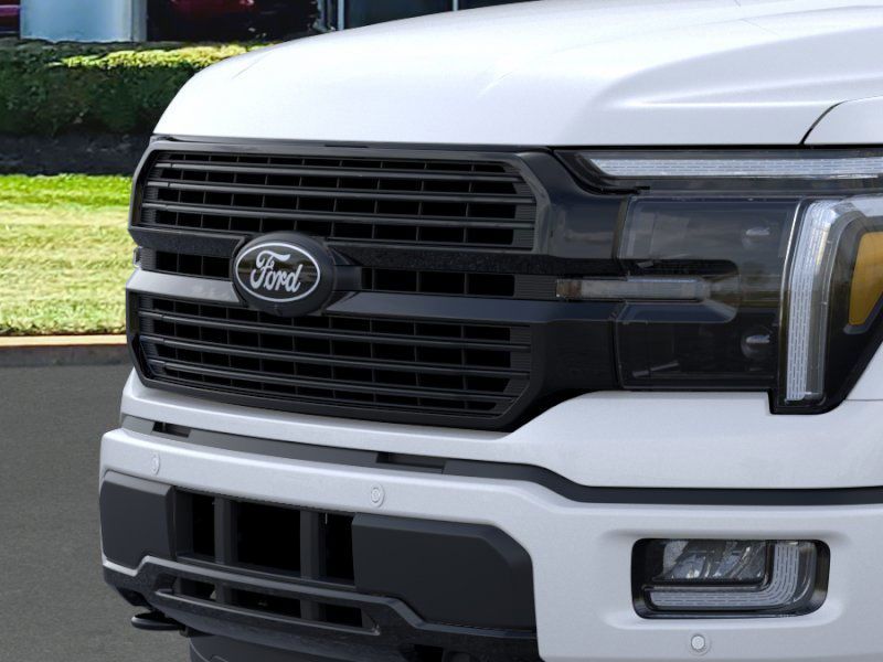 2025 Ford F-150 Platinum photo 15