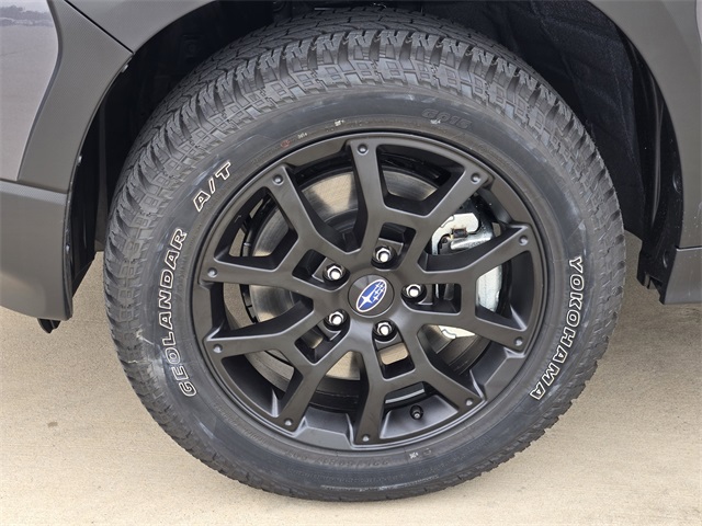 2025 Subaru Crosstrek Wilderness photo 8