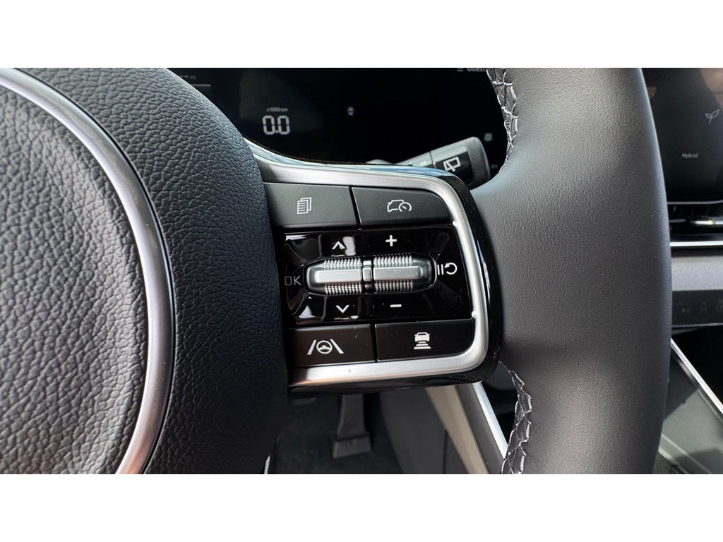 2026 Kia Carnival EX photo 8