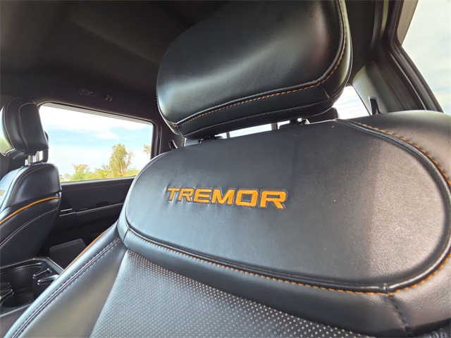 2022 Ford F-150 Tremor photo 30