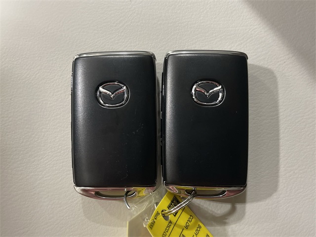 2025 Mazda CX-5 2.5 Premium Plus photo 30