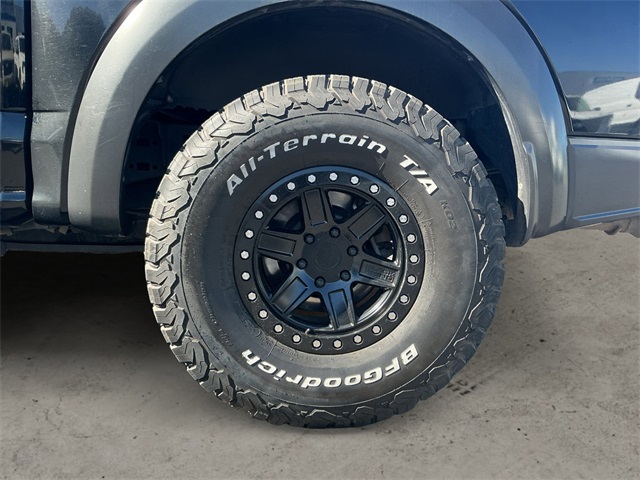 2017 Ford F-150 Raptor photo 14