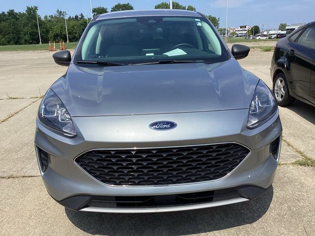 2022 Ford Escape SE photo 3