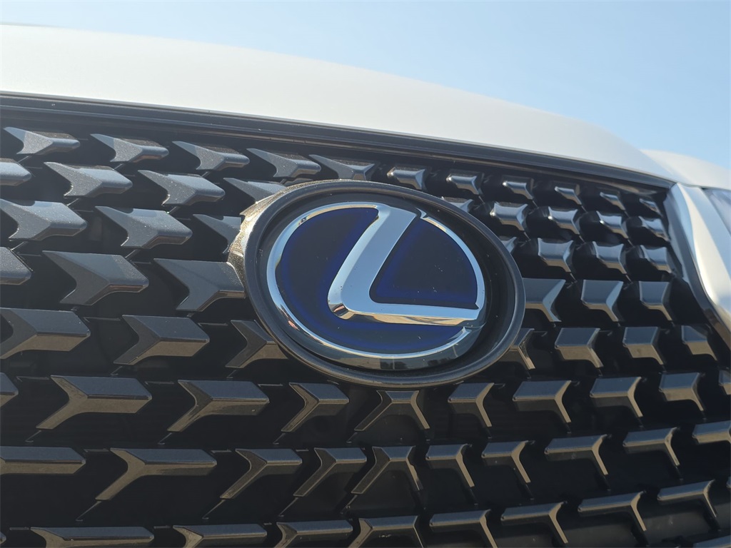 2022 Lexus UX 250h photo 33