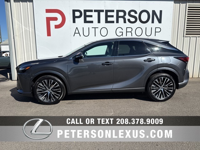 2024 Lexus RX 350h Premium photo 6
