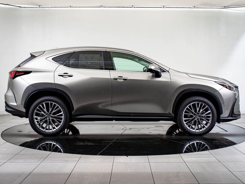 2026 Lexus NX 350 Luxury photo 6