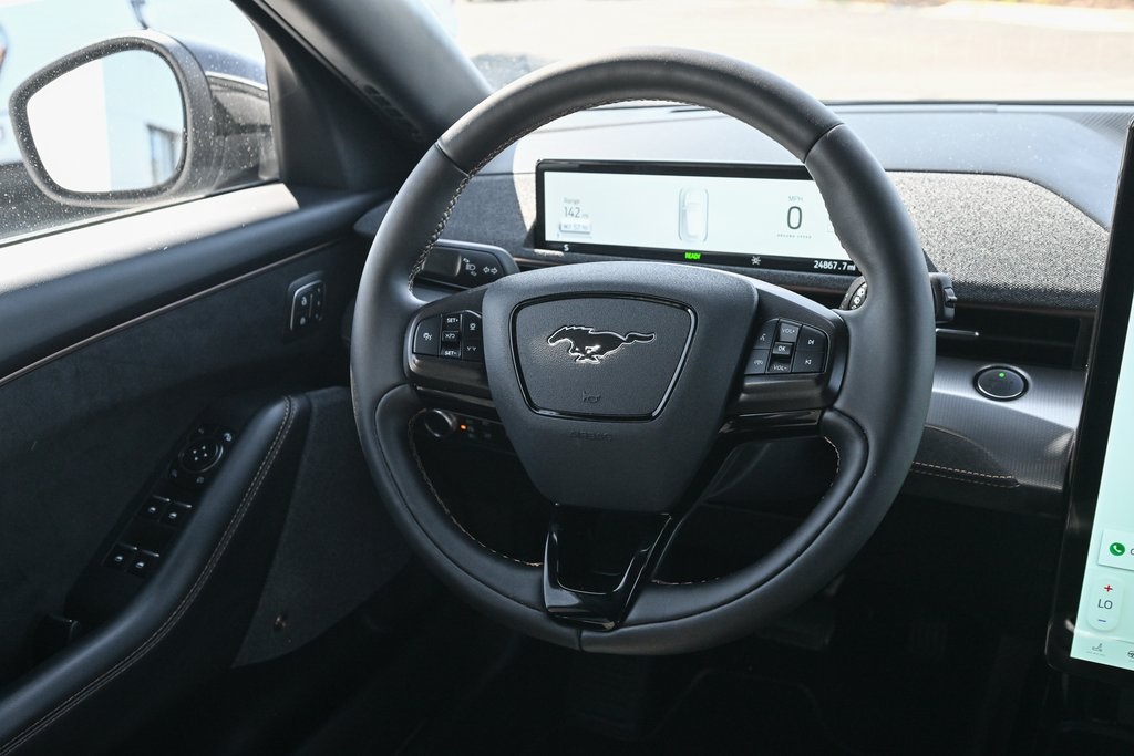 2021 Ford Mustang Mach-E GT photo 29