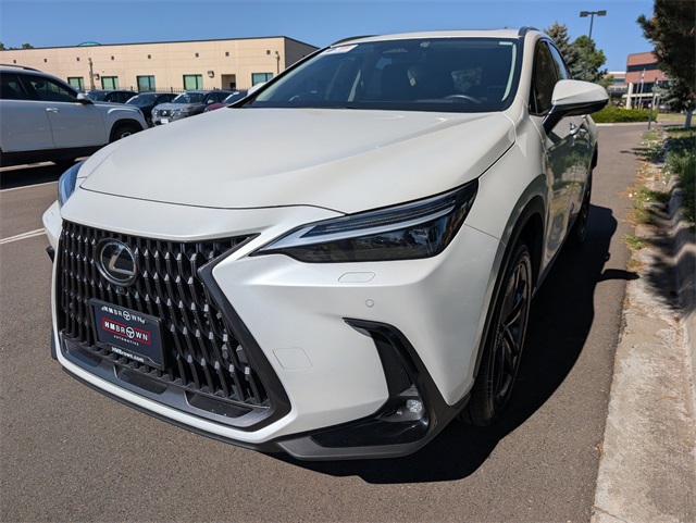 2024 Lexus NX 450h+ Luxury photo 6