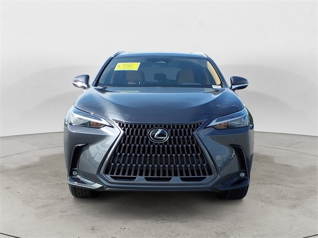 2024 Lexus NX 350h Premium photo 8