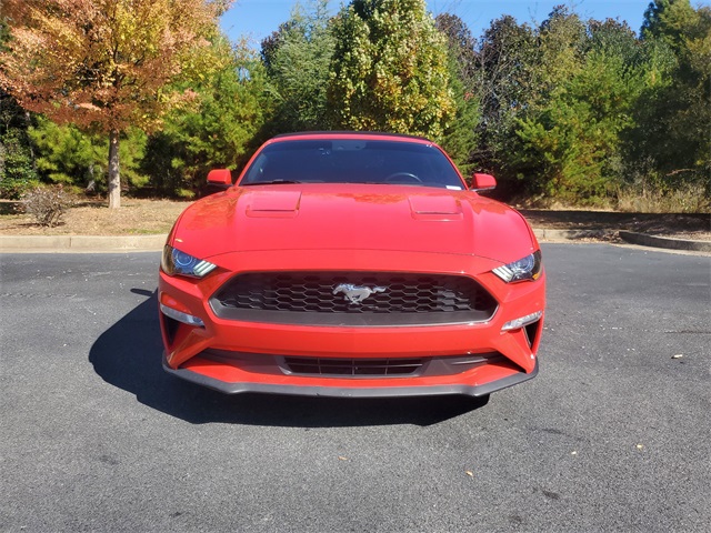 2019 Ford Mustang EcoBoost Premium photo 2