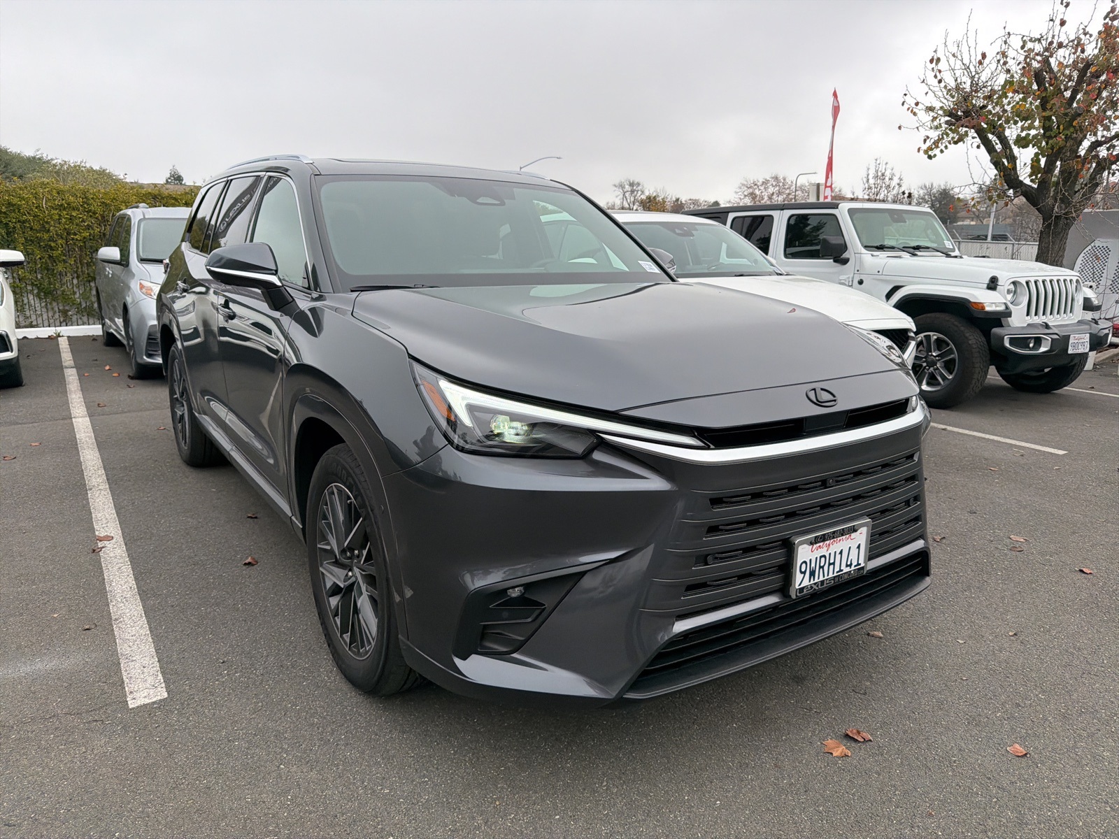 2026 Lexus TX Premium's photo