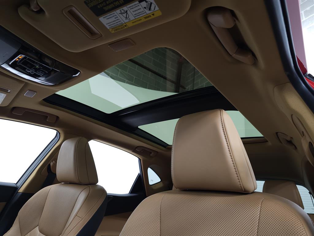 2025 Lexus NX 350h Luxury photo 16