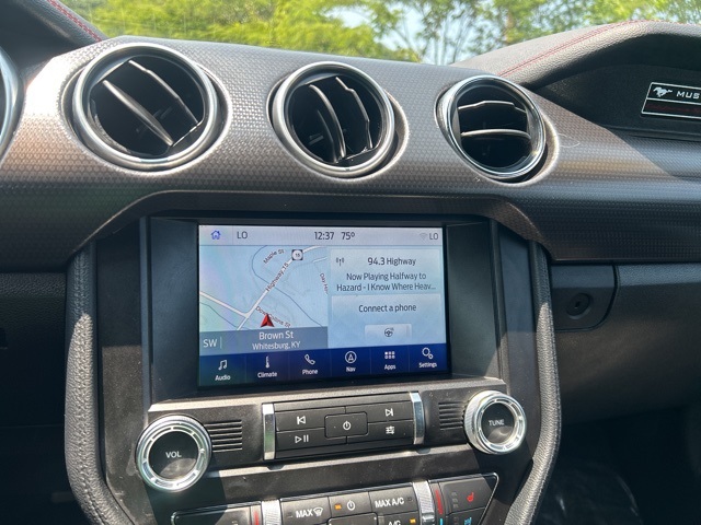 2019 Ford Mustang GT Premium photo 19