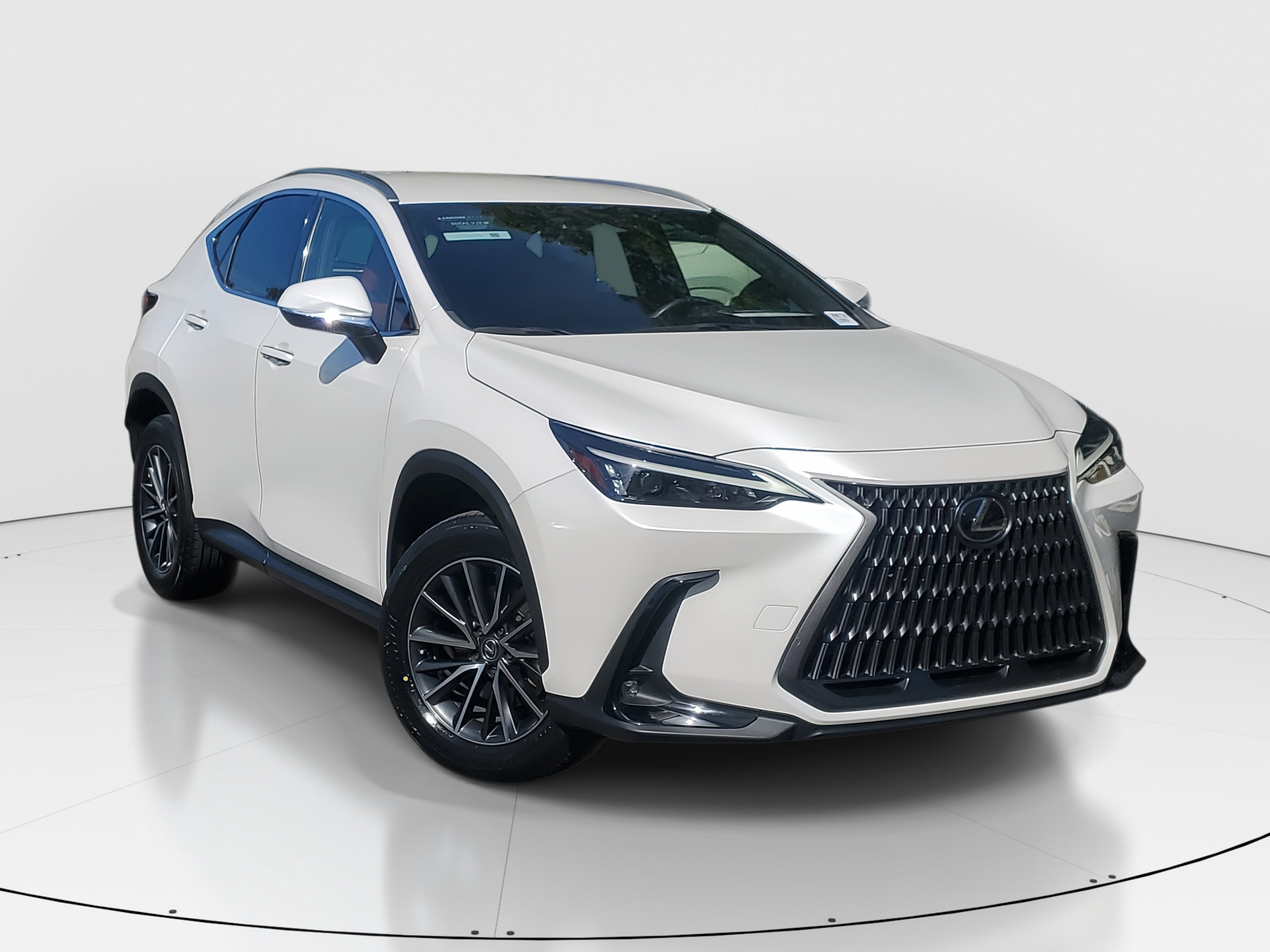 2024 Lexus NX 250 photo 2