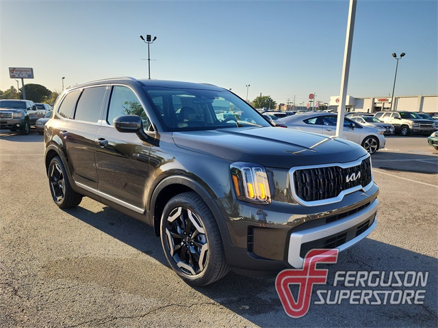 2025 Kia Telluride EX's photo