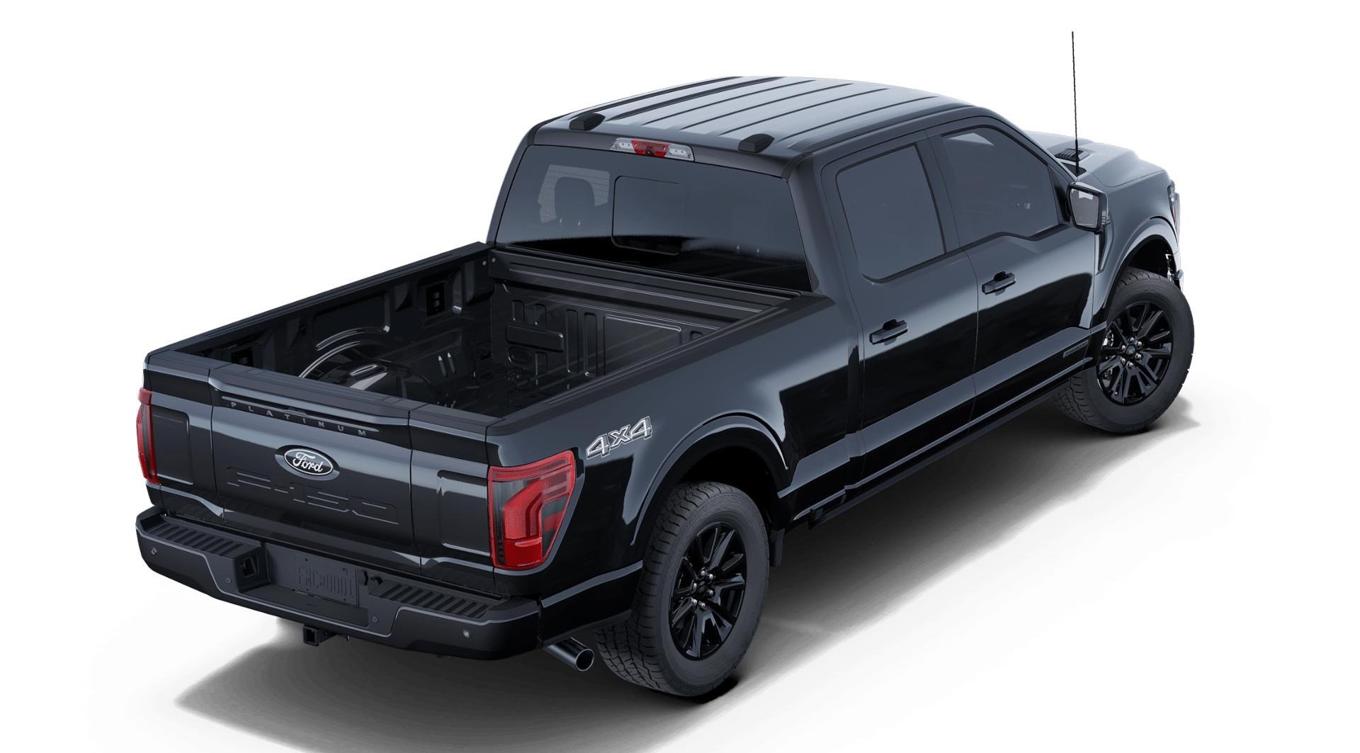 2025 Ford F-150 Platinum photo 3