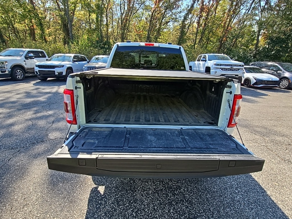 2023 Ford F-150 Platinum photo 20