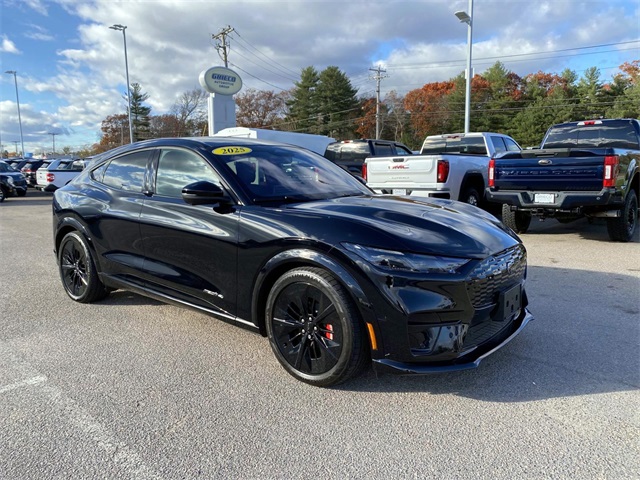 2025 Ford Mustang Mach-E GT AWD's photo