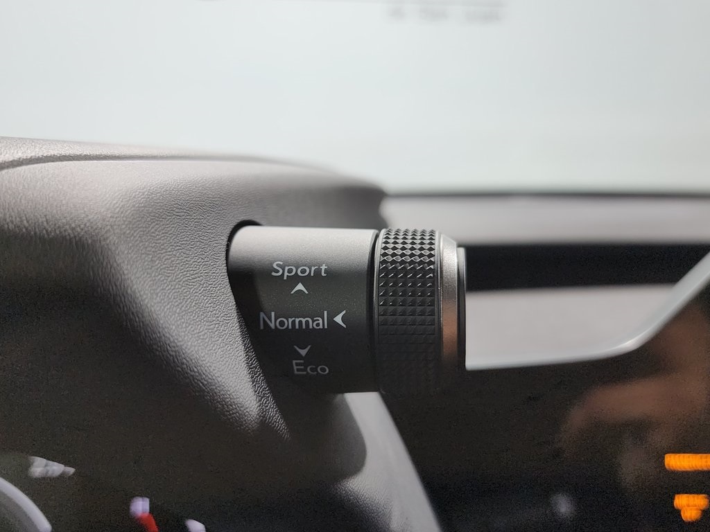 2025 Lexus UX photo 17