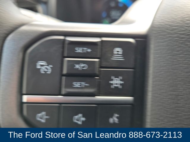 2025 Ford F-150 Lightning photo 22