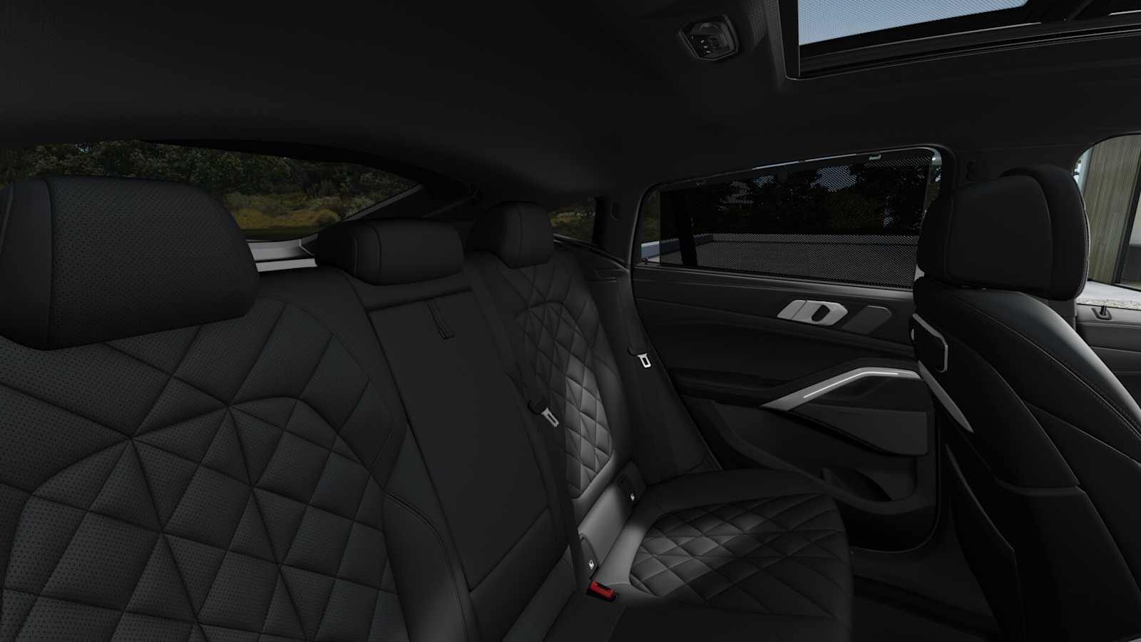 2026 Bmw X6 xDrive40i photo 10