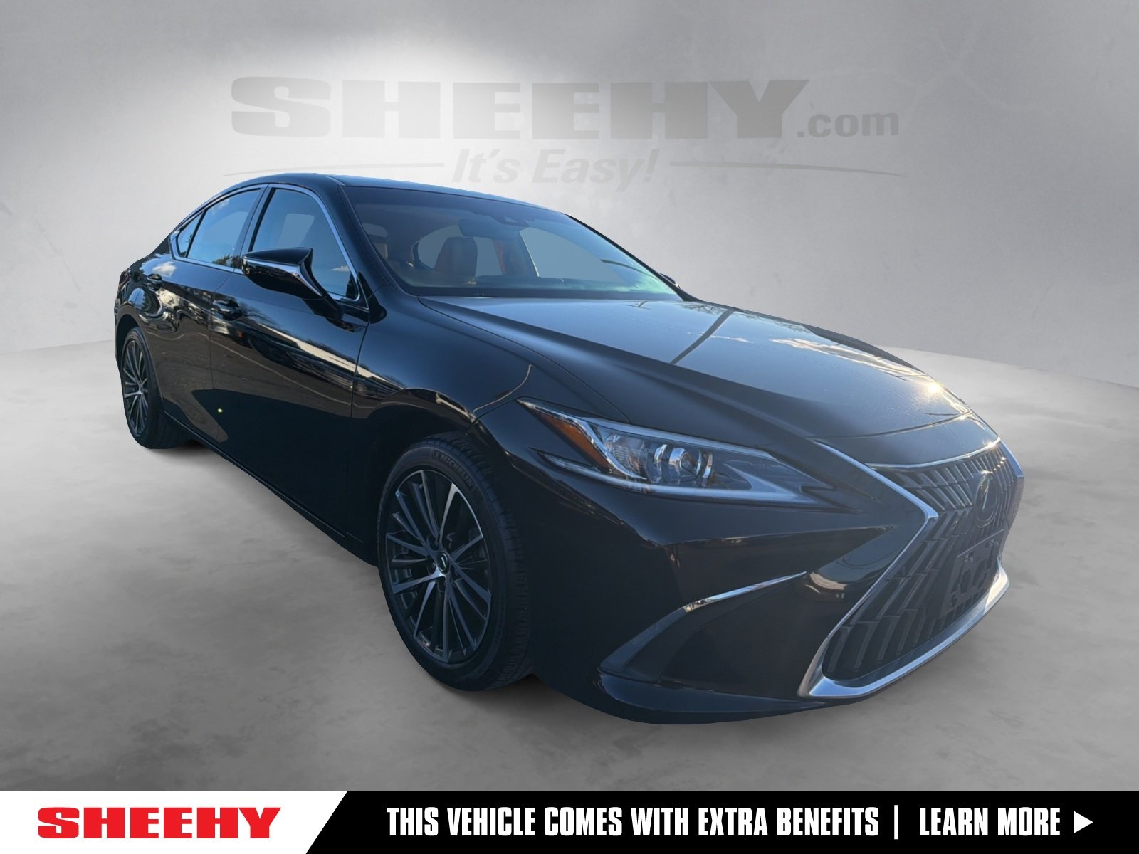 2024 Lexus ES Hybrid 300h's photo