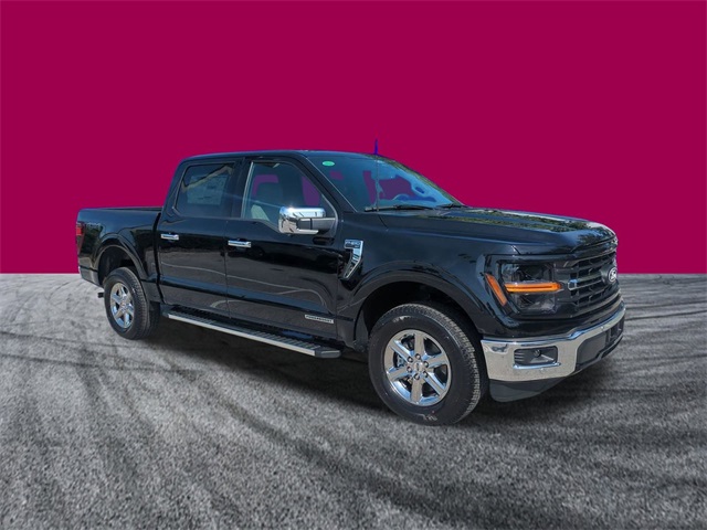 2025 Ford F-150 XLT photo 2