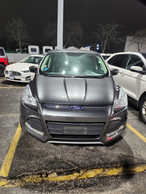 2016 Ford Escape SE photo 2