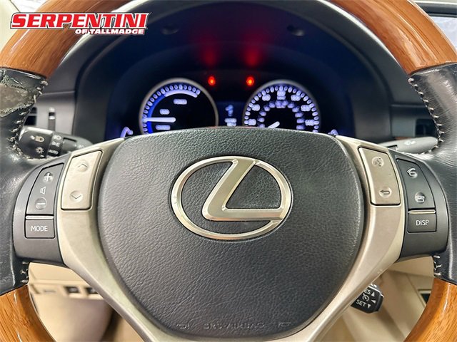 2014 Lexus ES 300h photo 11