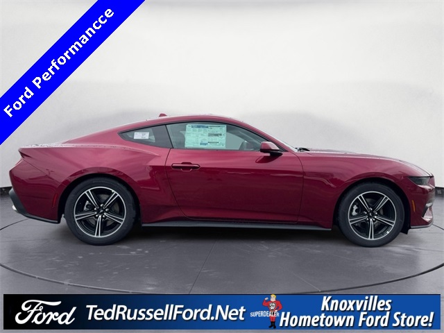 2025 Ford Mustang EcoBoost photo 4