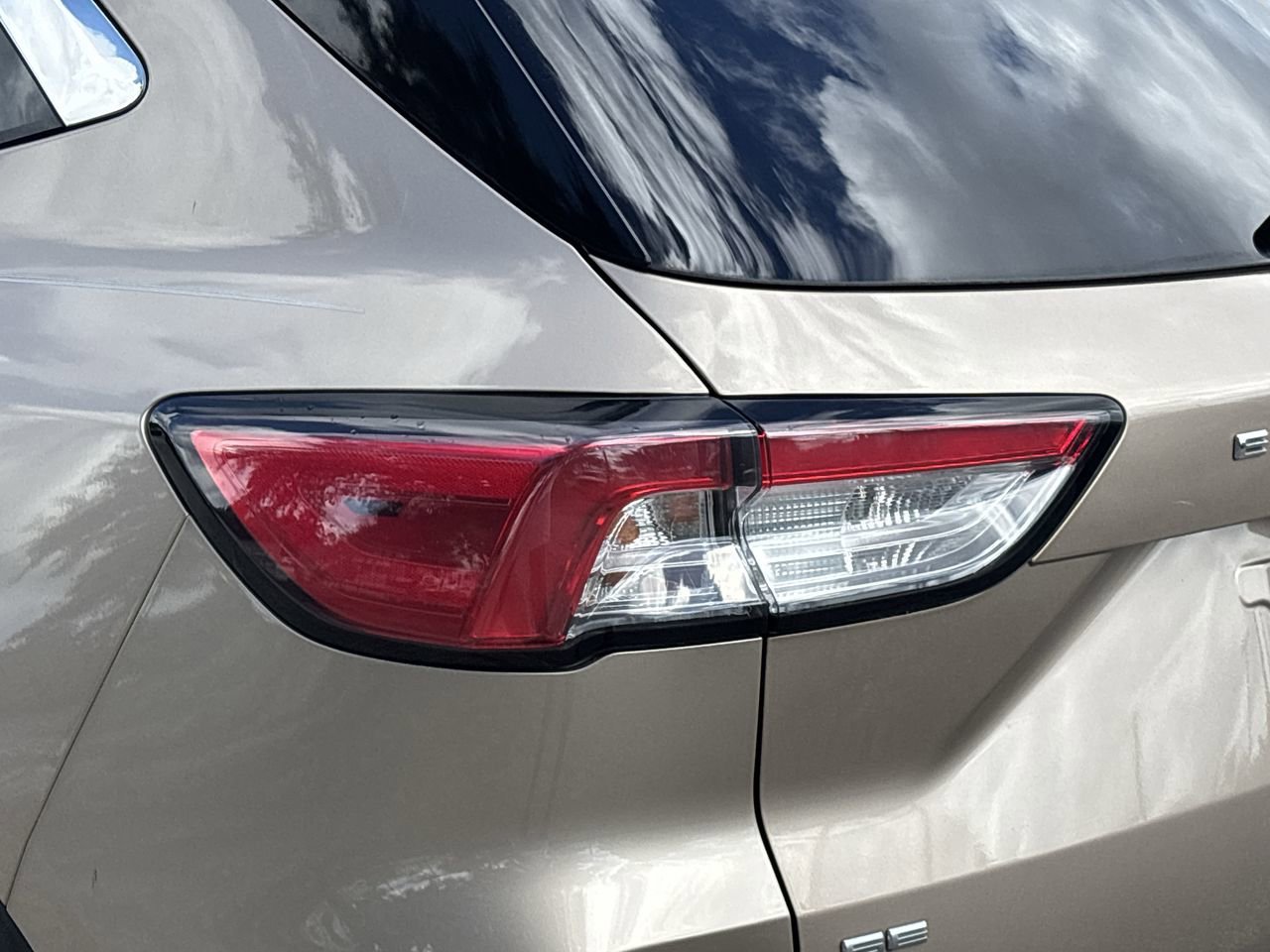 2020 Ford Escape SE Sport photo 6