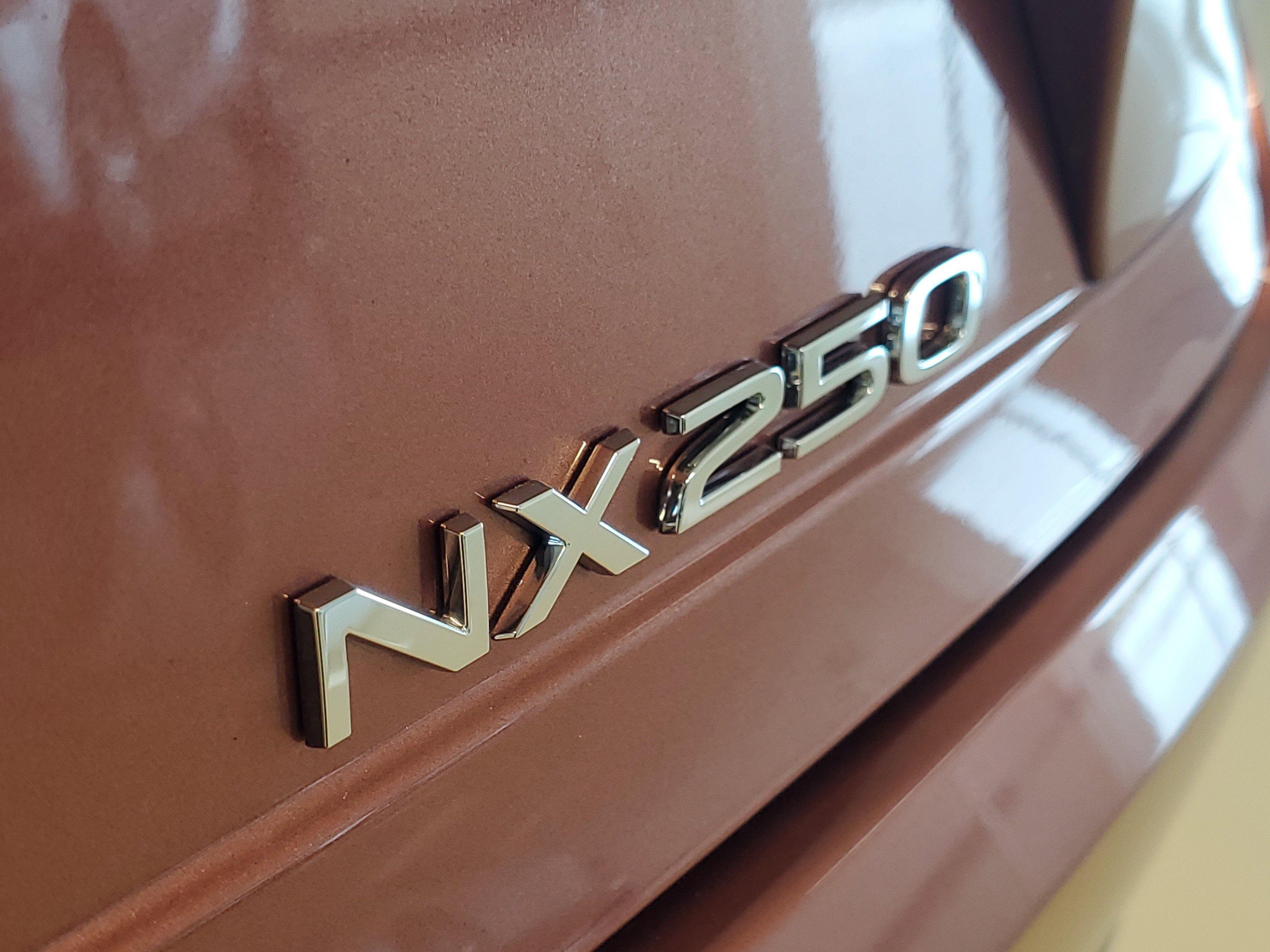2025 Lexus NX 250 photo 11