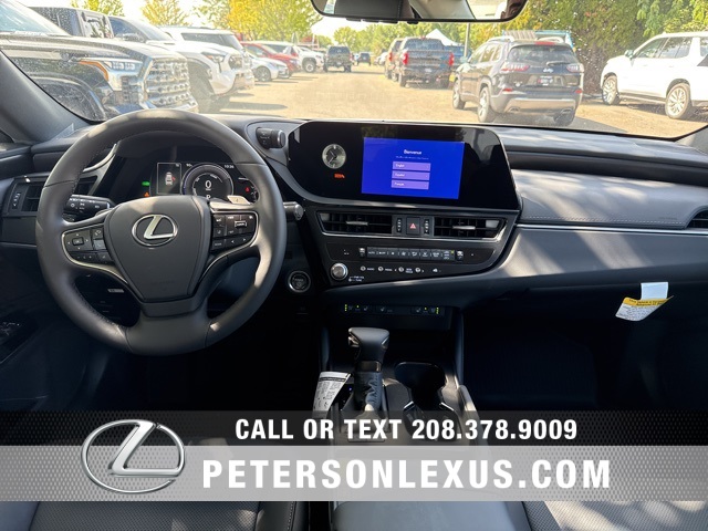 2025 Lexus ES 300h photo 14
