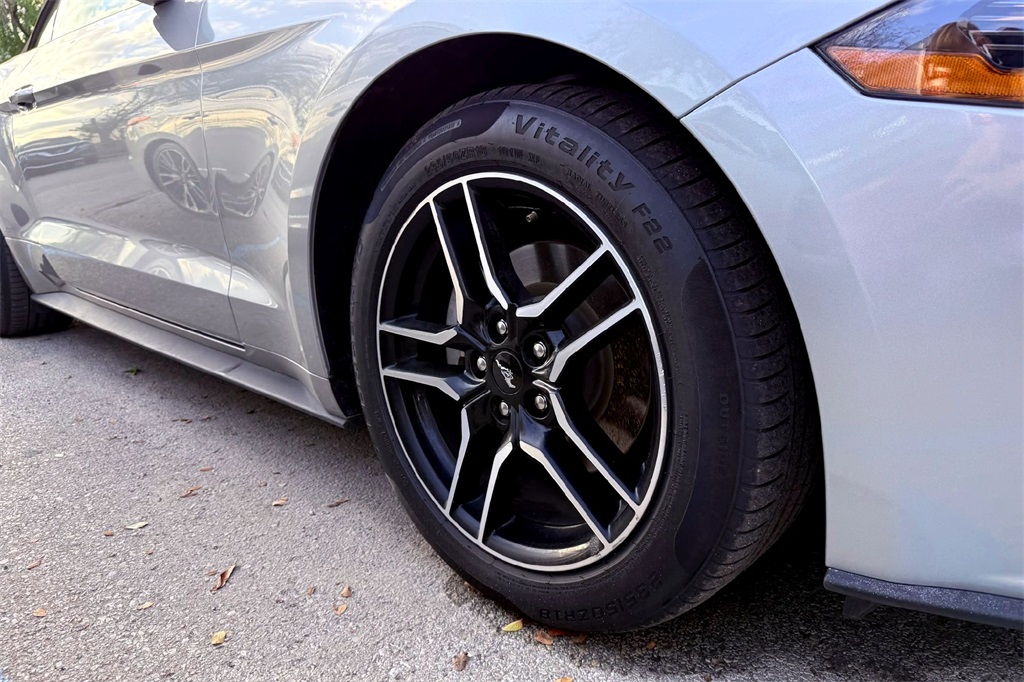 2023 Ford Mustang EcoBoost Premium photo 4