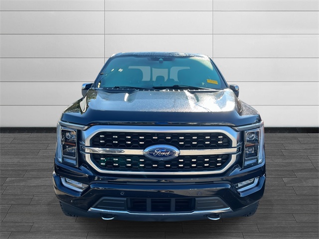 2022 Ford F-150 Platinum photo 2