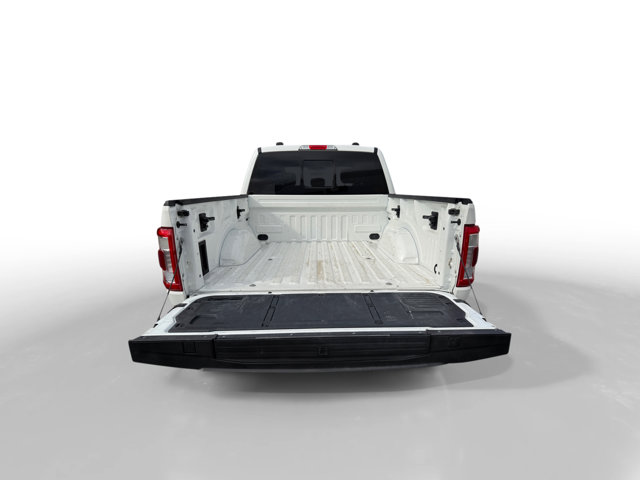 2021 Ford F-150 Platinum photo 17