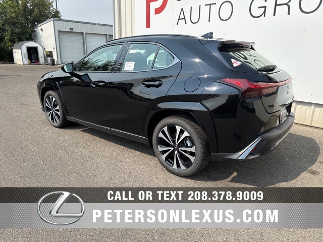 2025 Lexus UX F SPORT Design photo 6