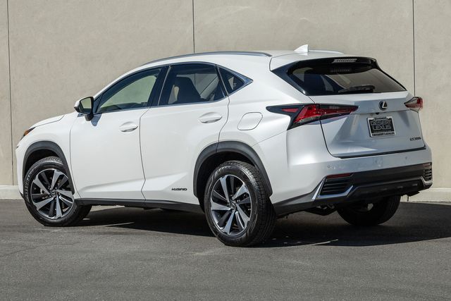 2019 Lexus NX 300h Luxury photo 3