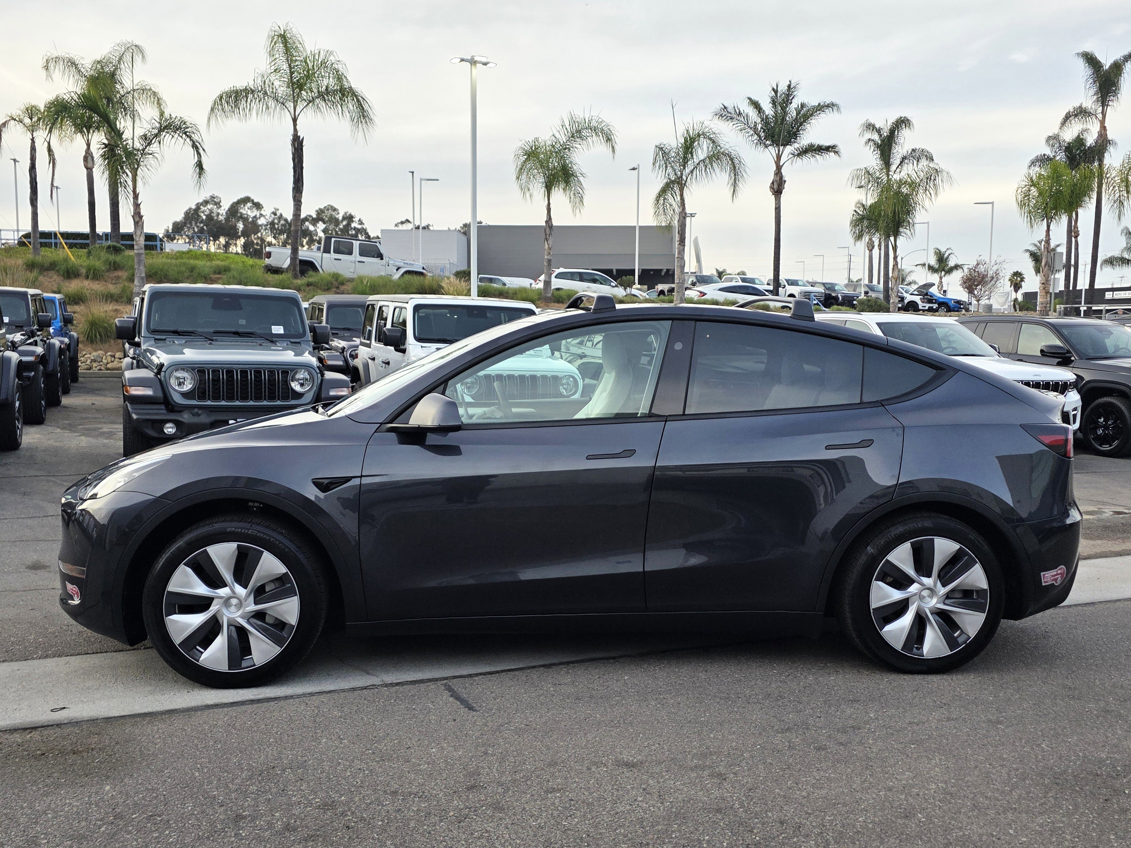 Used 2024 Tesla Model Y Long Range with VIN 7SAYGAEE2RF010037 for sale in Northfield, Minnesota