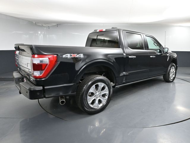 2023 Ford F-150 Platinum photo 4