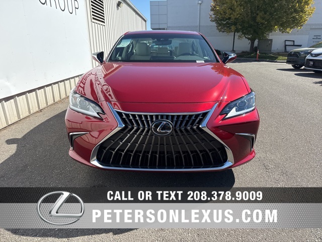 2025 Lexus ES 300h photo 8
