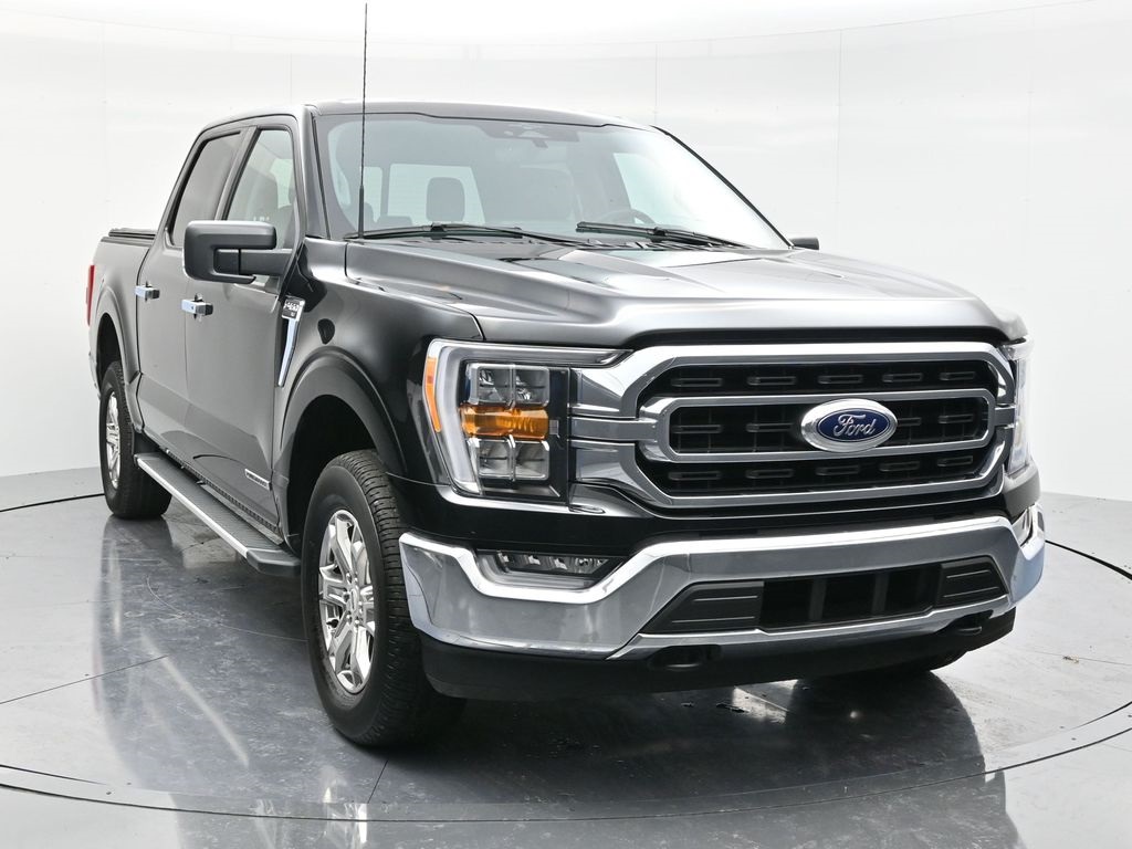 2023 Ford F-150 XLT's photo
