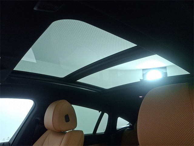 2023 Bmw X6 xDrive40i photo 4