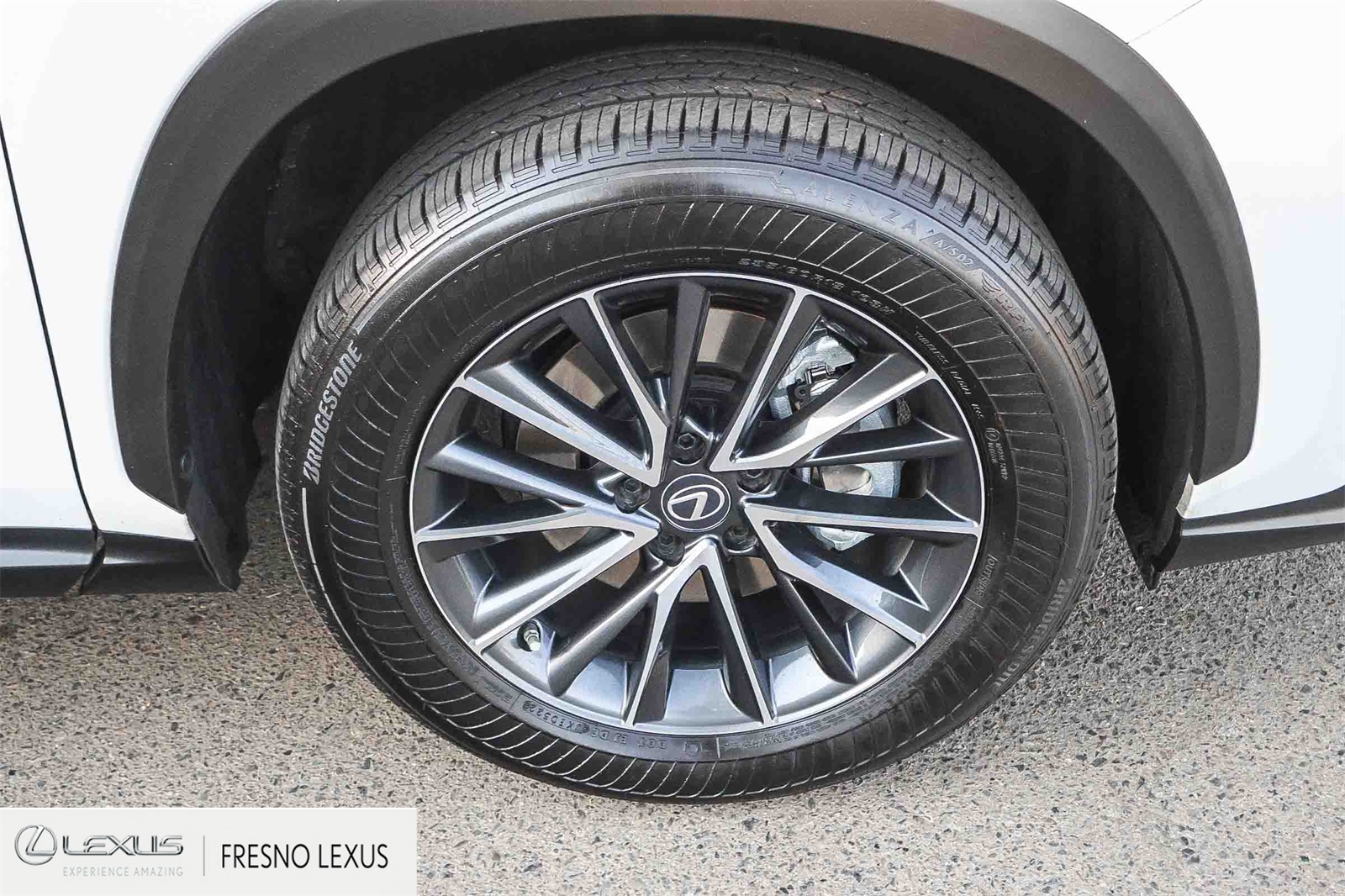 2022 Lexus NX 350h Premium photo 8