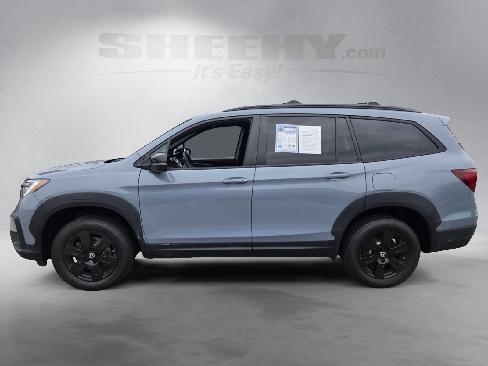 2022 Honda Pilot TrailSport photo 3