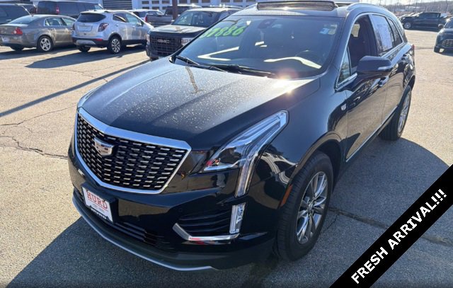 2023 Cadillac XT5 Premium Luxury's photo