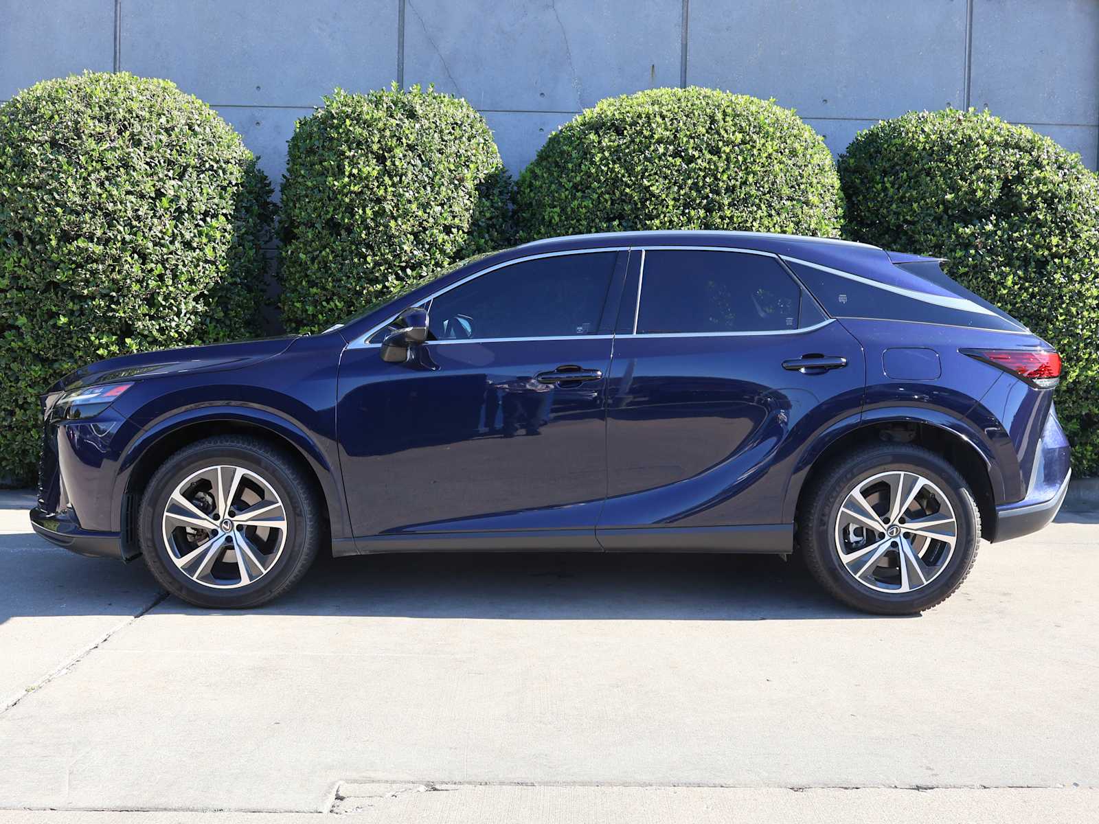 2023 Lexus RX Premium photo 4