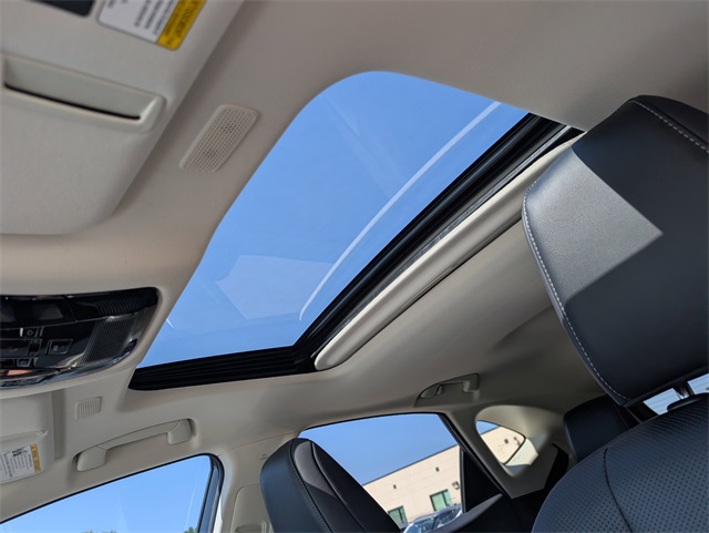 2024 Lexus NX 450h+ Luxury photo 11