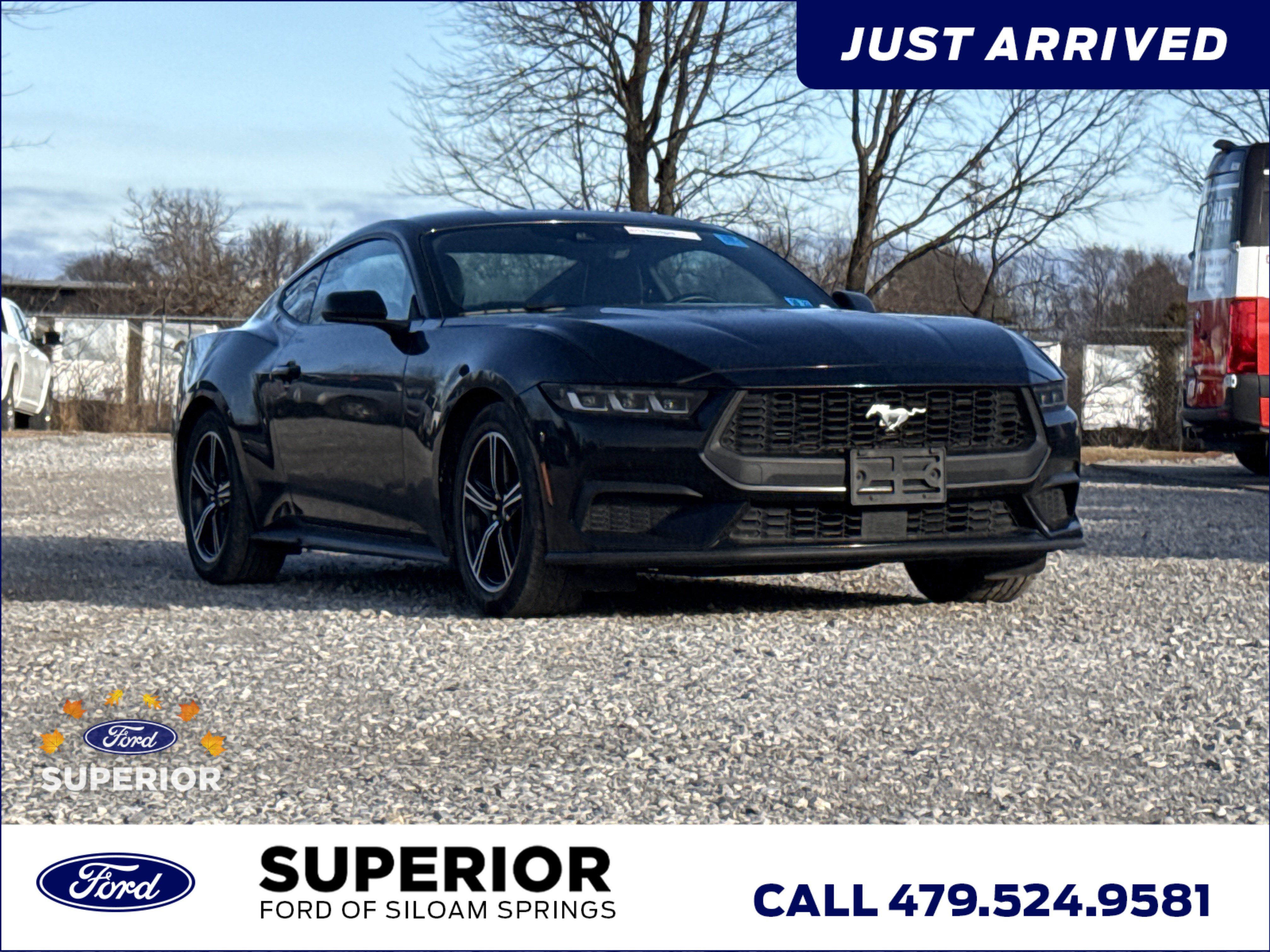 2024 Ford Mustang EcoBoost's photo