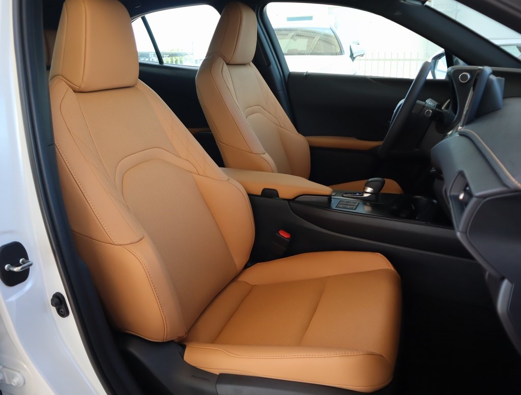 2025 Lexus UX photo 24